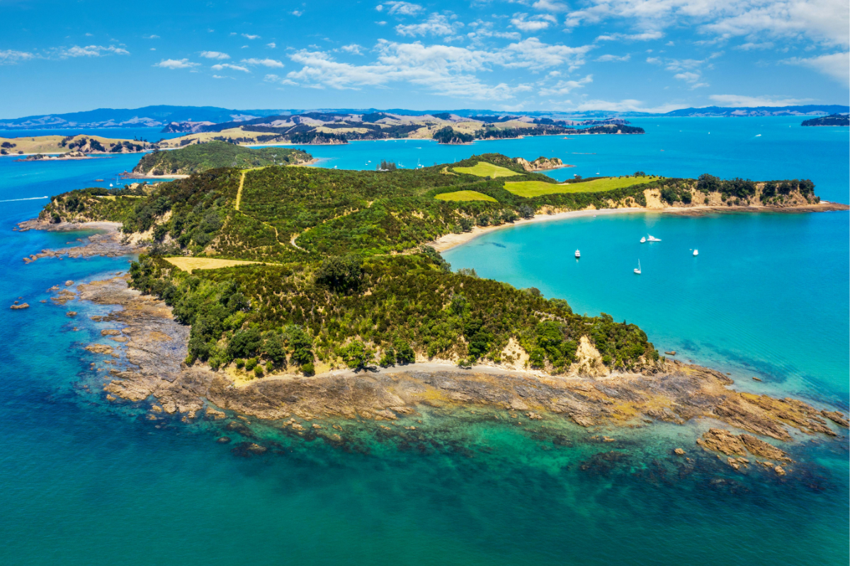 New Zealand - Thermal Discovery